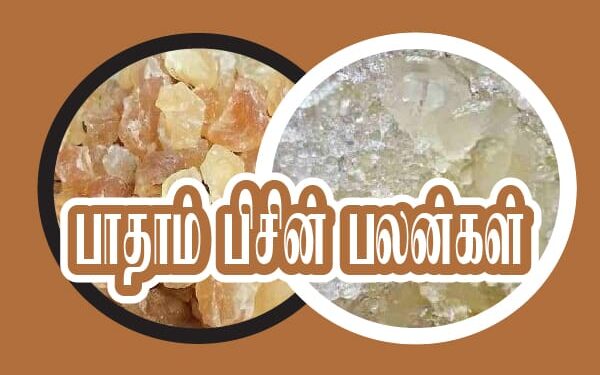 பாதாம் பிசின் பயன்கள்.