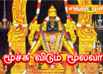 மூச்சு விடும் மூலவர்