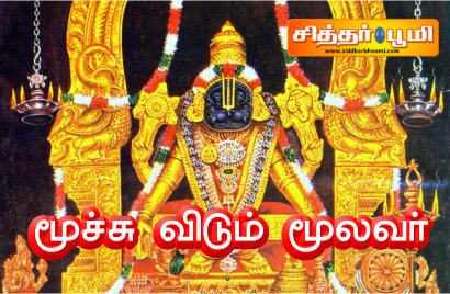 மூச்சு விடும் மூலவர்