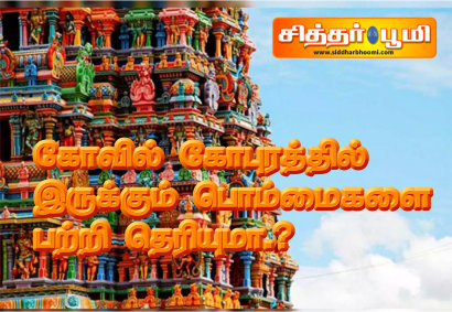 கோவில் கோபுரத்தில் இருக்கும் பொம்மைகளை பற்றி தெரியுமா.?
