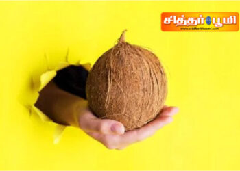 பாவங்களை போக்க இந்த வழிபாடு ஒன்றே போதும்.