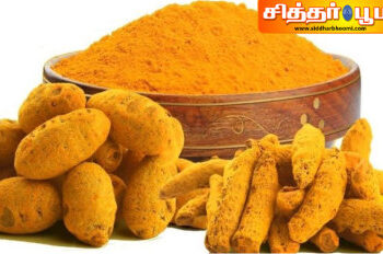 முக்கியமான 5 பொருட்கள் என்ன?