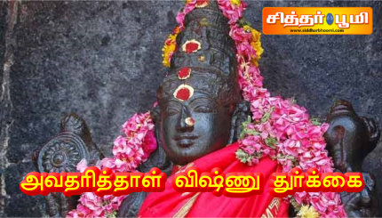 அவதரித்தாள் விஷ்ணு துர்க்கை!
