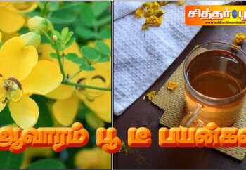 ஆவாரம் பூ டீ பயன்கள்