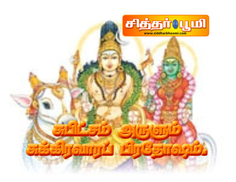 சுபிட்சம் அருளும் சுக்கிரவாரப் பிரதோஷம்.