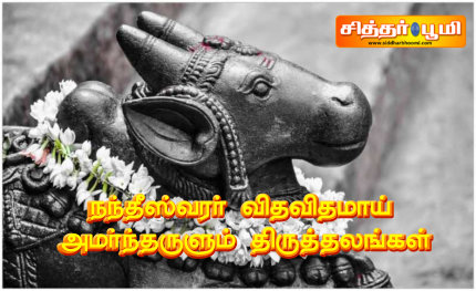நந்தீஸ்வரர் விதவிதமாய் அமர்ந்தருளும் திருத்தலங்கள்