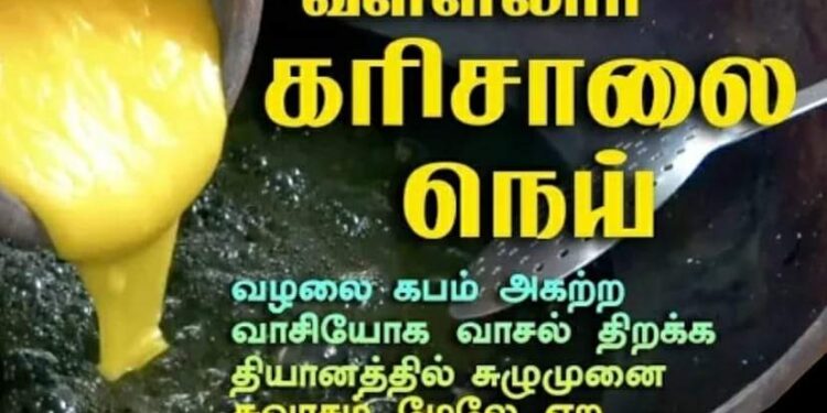 சித்தர்கள் அருளிய கபசுத்தி