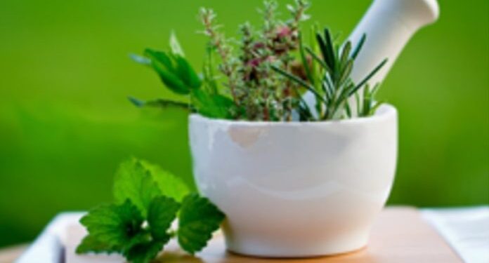 தினம் ஒரு மூலிகை.