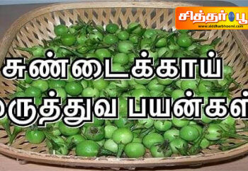 மருந்தாக சுண்டைக்காய்