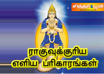 ராகுவுக்குரிய எளிய பரிகாரங்கள்