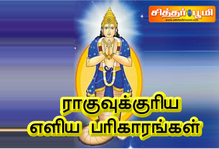 ராகுவுக்குரிய எளிய பரிகாரங்கள்