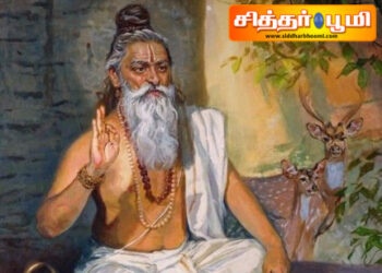 ஸ்ரீவிஸ்வாமித்ர மகாலிங்கசுவாமி திருக்கோவிலில்