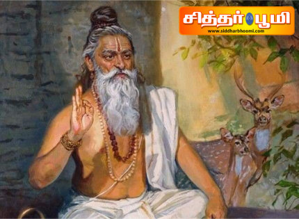 ஸ்ரீவிஸ்வாமித்ர மகாலிங்கசுவாமி திருக்கோவிலில்