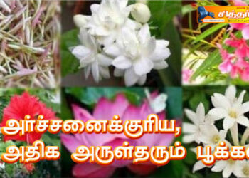 அர்ச்சனைக்குரிய, அதிக அருள்தரும் பூக்கள்