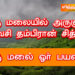 குரு மலையில் அருளும் தவசி தம்பிரான் சித்தர்