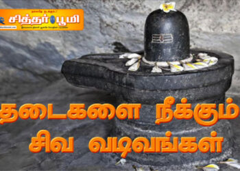 தடைகளை நீக்கும் சிவ வடிவங்கள்.