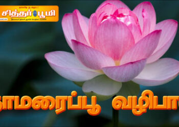 தாமரைப்பூ வழிபாடு!