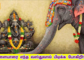 பிள்ளையாரை எந்த வஸ்துவால் பிடிக்க போகிறீர்கள்?