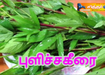 புளிச்சகீரை