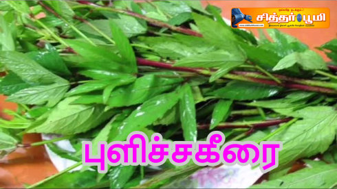 புளிச்சகீரை