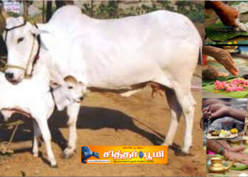 பித்ரு கடன்கள் அகல செய்ய வேண்டிய தானம் இதுதான்.