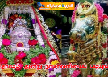 பிரதோஷம் அன்று நாமாவளியைப் படியுங்கள்.