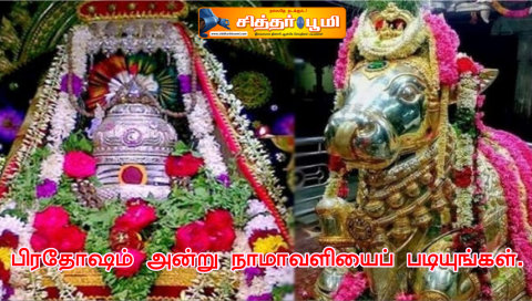 பிரதோஷம் அன்று நாமாவளியைப் படியுங்கள்.