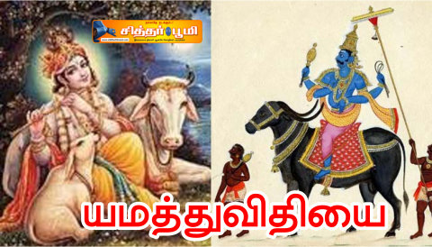 யமத்துவிதியை