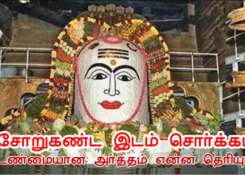 “சோறுகண்ட இடம் சொர்க்கம்”