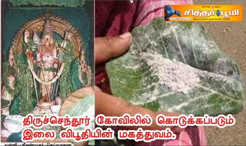 திருச்செந்தூர் கோவிலில் கொடுக்கப்படும் இலை விபூதியின் மகத்துவம்.