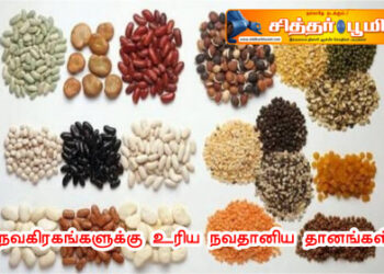 நவகிரகங்களுக்கு உரிய நவதானிய தானங்கள்
