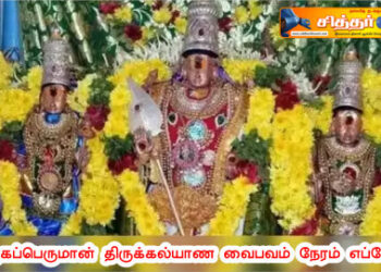 முருகப்பெருமான் திருக்கல்யாணம்..!