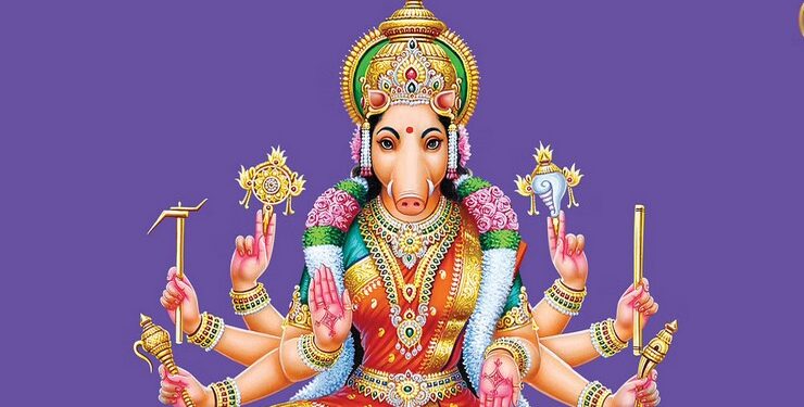 தேய்பிறை பஞ்சமியில் வாராஹி அம்மனுக்கு வழிபடுங்கள்.