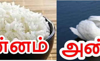 அன்னமும் பாலும்
