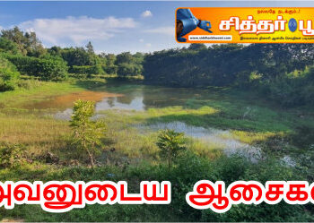 அவனுடைய ஆசைகள்