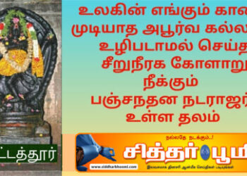 பஞ்சநதன நடராஜர் கோயில்