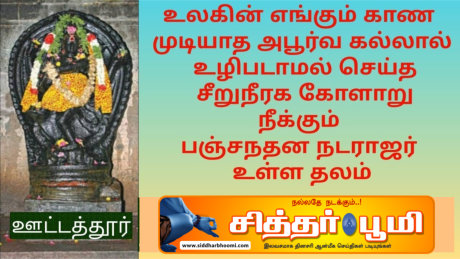 பஞ்சநதன நடராஜர் கோயில்