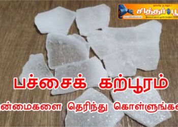 பச்சைக் கற்பூரம்