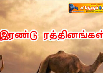 இரண்டு ரத்தினங்கள்