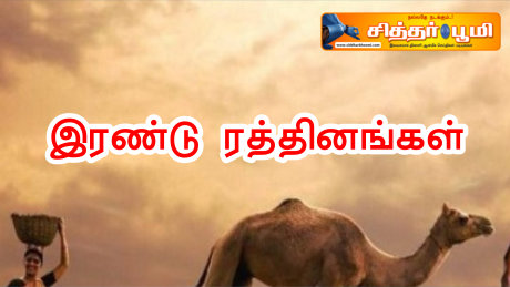 இரண்டு ரத்தினங்கள்