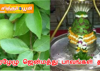 ஏழேழு ஜென்மத்து பாவங்கள் தீர?