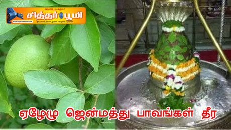 ஏழேழு ஜென்மத்து பாவங்கள் தீர?