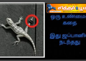 உங்களால் முடியாதா?