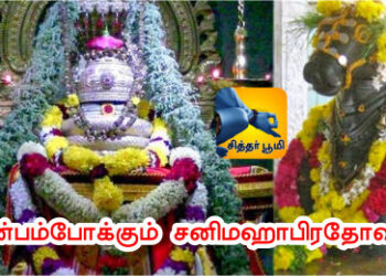 துன்பம்போக்கும் சனிமஹாபிரதோஷம்