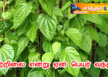 வெற்றிலை என்று ஏன் பெயர் வந்தது..?