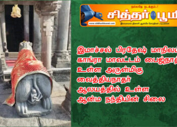ஆன்ம நந்தியின் சிலை