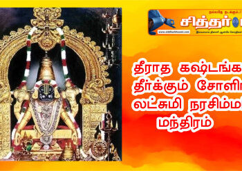 தீராத கஷ்டங்கள் தீர்க்கும் சோளிங்கர் லட்சுமி நரசிம்மர்