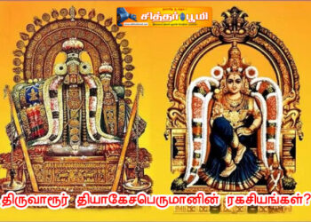 திருவாரூர் தியாகேசபெருமானின் ரகசியங்கள்?