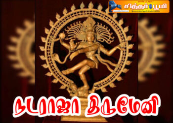 நடராஜா திருமேனி