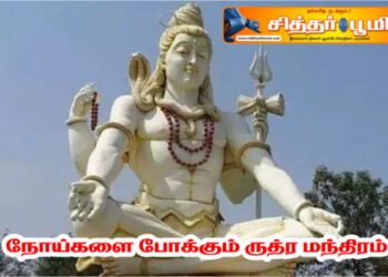 நோய்களை போக்கும் ருத்ர மந்திரம்